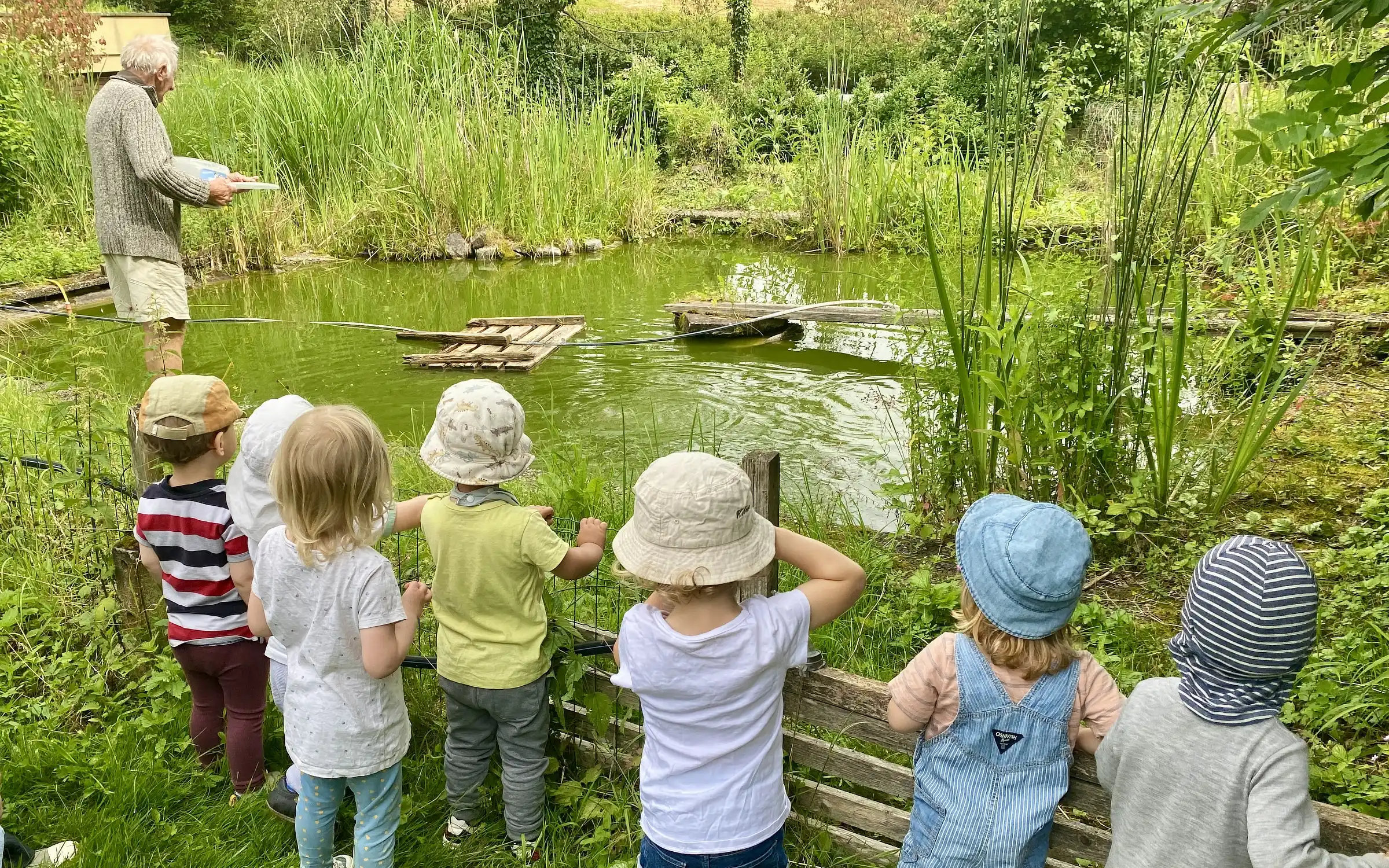 Kinder stehen als Gruppe an einem Teich und beobachten, wie ein Mann die Fische füttert.