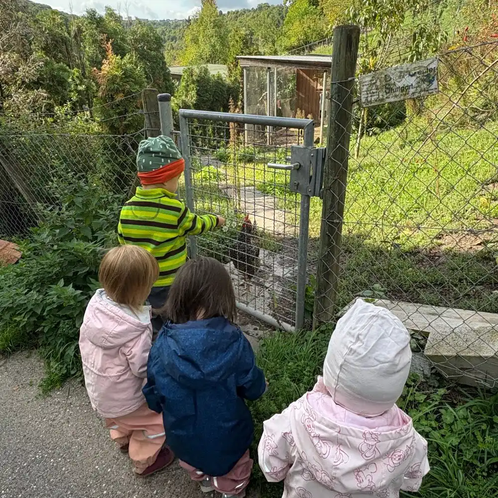 Kinder entdecken beim Spaziergang ein Hühnergehege und füttern die Hühner.
