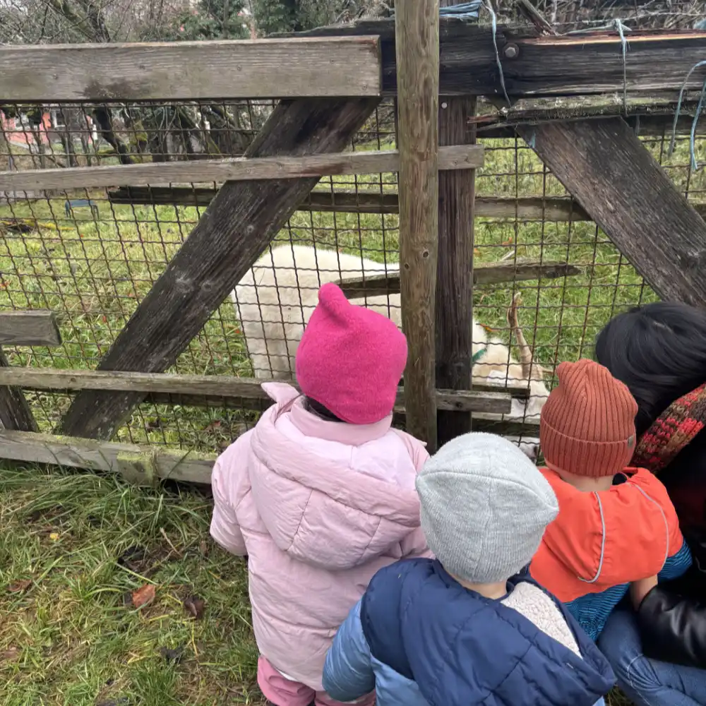 Kinder füttern eine Ziege an einem Gehege.